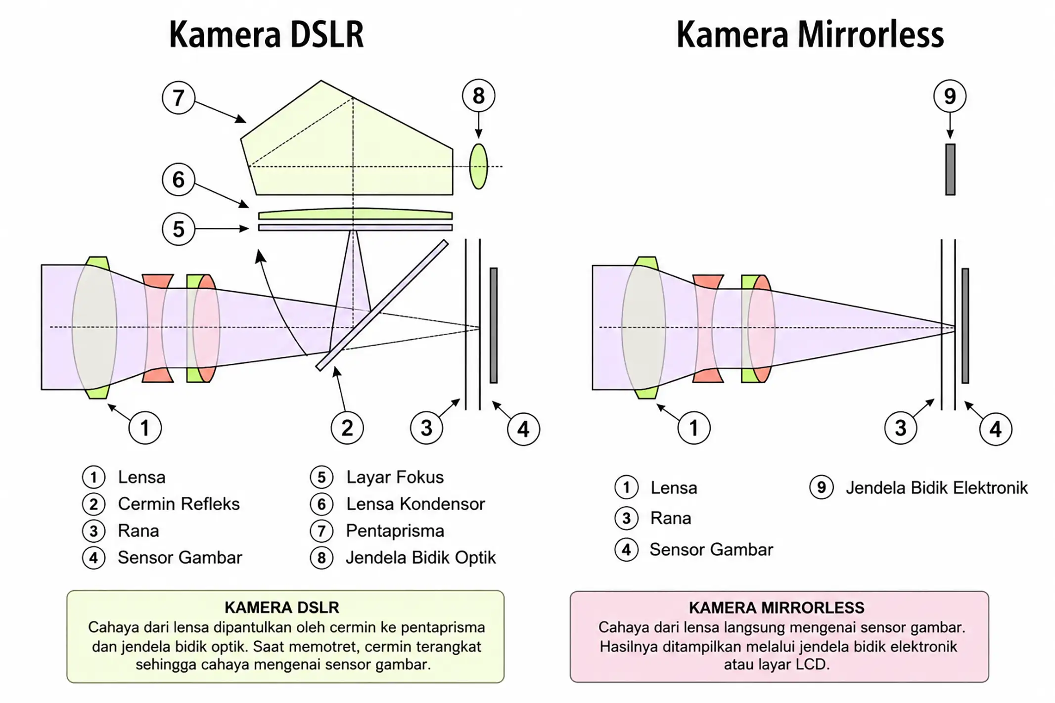 Mirrorless vs DSLR